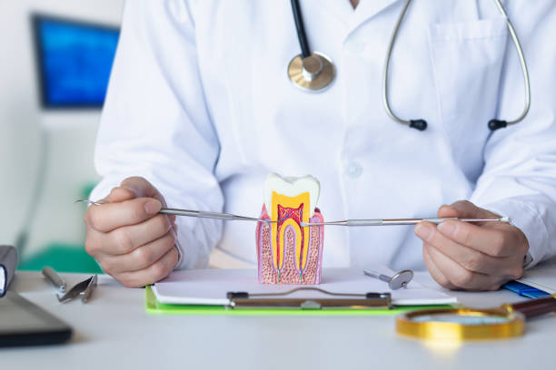 Best Emergency Treatment for Oral Infections in Prien, LA